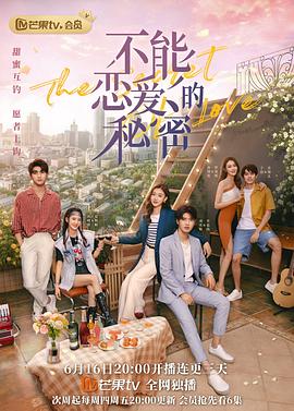 不能恋爱的秘密（越南语版）电视剧